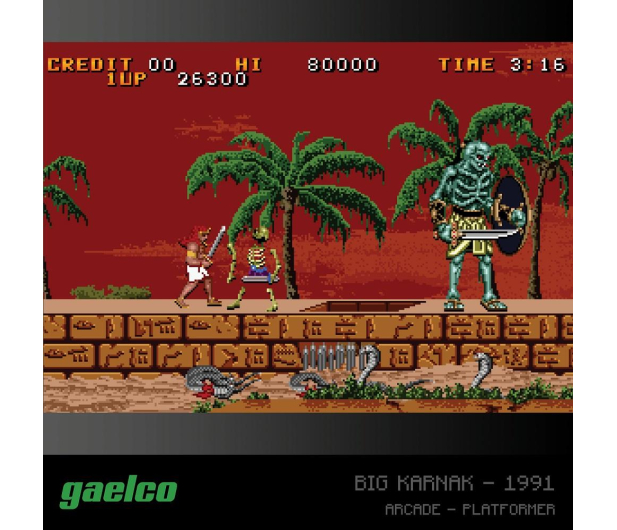 Evercade Zestaw gier Gaelco (Piko) Arcade 2 - 1140640 - zdjęcie 3